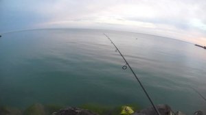 Ловля ставриды в Черном море с берега май 2019г.