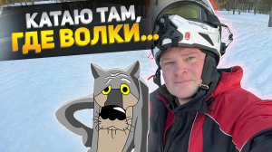 Снегоход. Стихия Сталкера - лес. #эндуро #сталкер