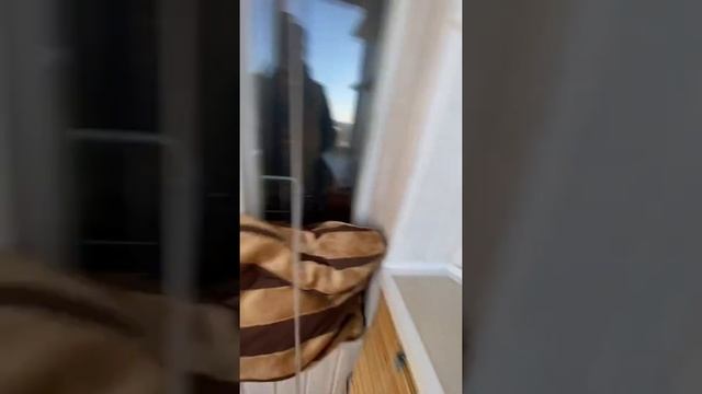 Литовский бульвар д.15к1 смотреть онлайн