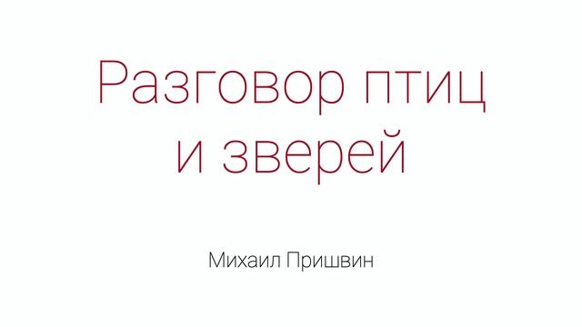 Разговор птиц и зверей смотреть онлайн