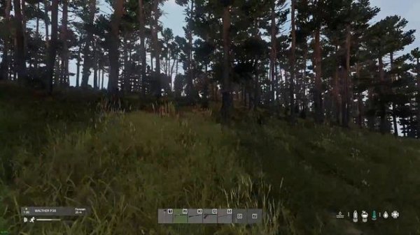 ПРОСТО DAYZ | DUSK CLASSIC