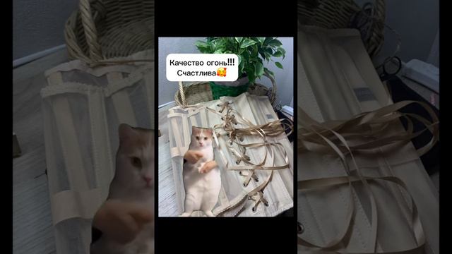 Когда нашла крутой корсет на WB