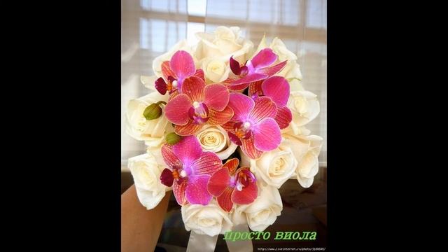 SUPER BUKET 11 смотреть онлайн