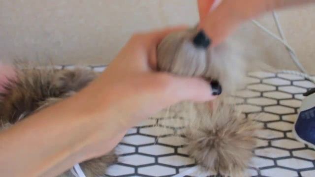 Как выпрямить меховой помпон смотреть онлайн