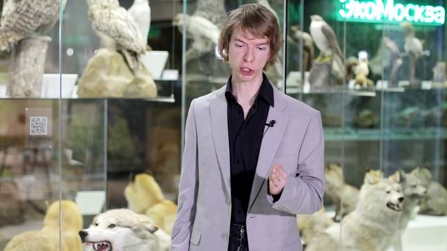 ПРОИСХОЖДЕНИЕ И ОДОМАШНИВАНИЕ СОБАКИ. Ярослав Попов | Палеонтологические истории #012 смотреть онлайн