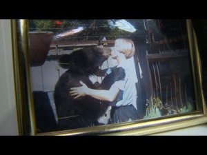 Как дрессировщица Вера Блищ укротила и полюбила медведей \ Наш человек
