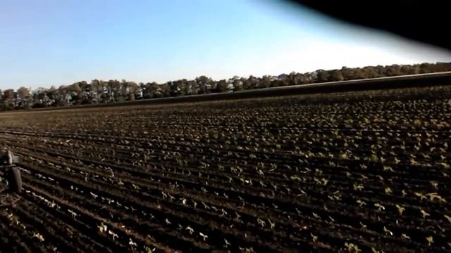 1 июня 2017 г. боронование всходов подсолнечника тяжелой бороной (2ч) смотреть онлайн
