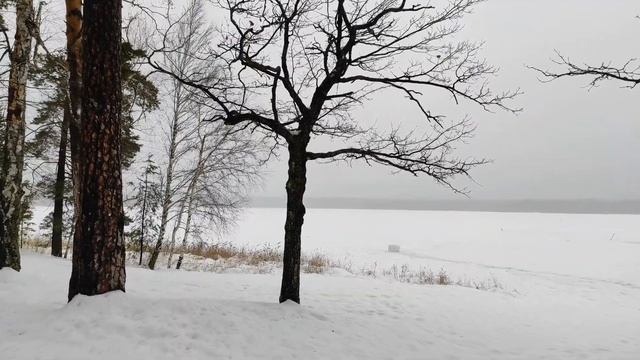 Зима на Белом озере. 4 января 2023г. Николаевский район. Ульяновская область. смотреть онлайн
