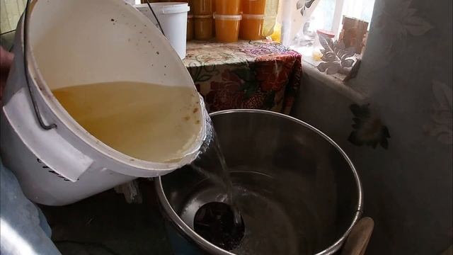 Желе: волшебство на каждой тарелке