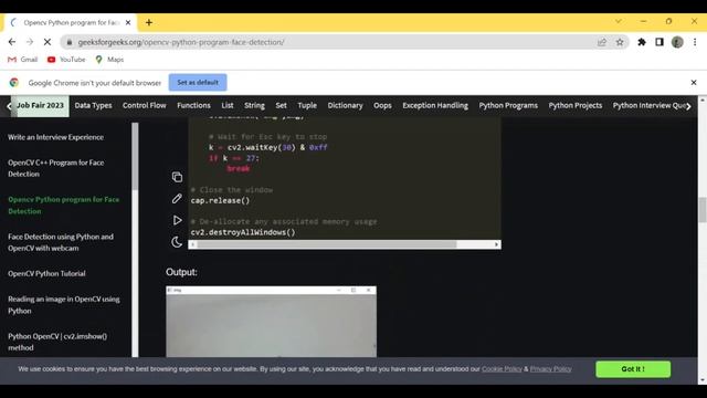 python face detection смотреть онлайн