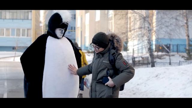 Пингвины в Альметьевске