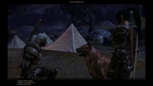 Sten Talks to a Mabari Hound смотреть онлайн