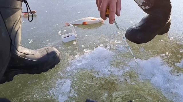 Такой рыбалки я еще не видел! Астраханская Зима 2023 смотреть онлайн