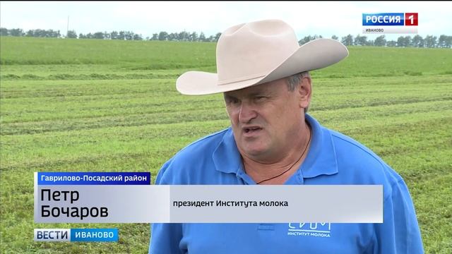 День поля в Ивановской области прошел в новом формате смотреть онлайн