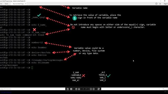 Shell Programming - T2 - Echo, Read commands and Variable Concepts. смотреть онлайн