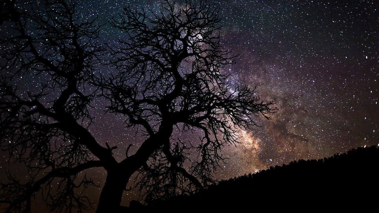 СЕРГЕЙ ЕСЕНИН "ГОРИ ЗВЕЗДА МОЯ..." смотреть онлайн