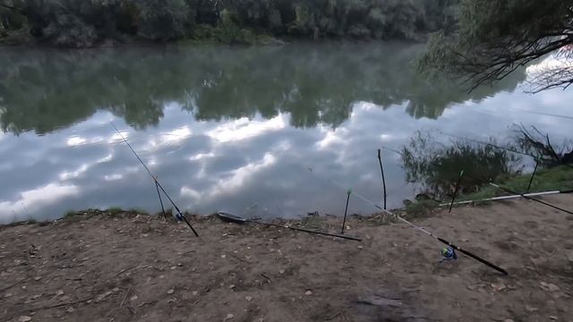 РЕКА ДНЕСТР///октябрьская рыбалка. смотреть онлайн