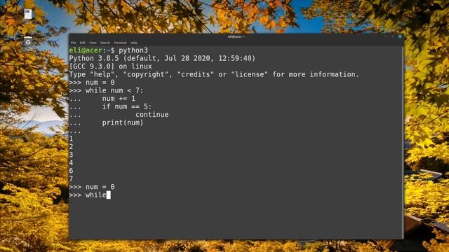 Control Statements - While loops in PYTHON смотреть онлайн