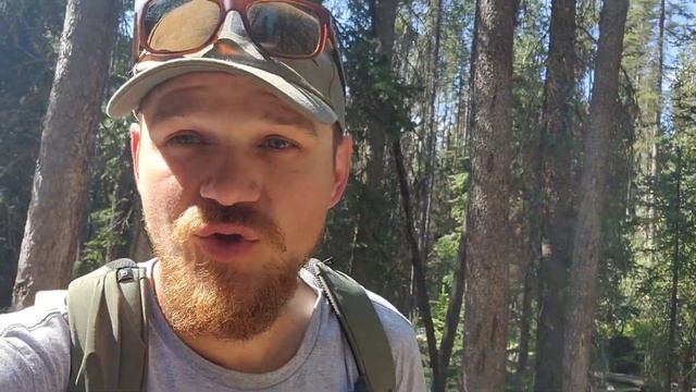 Johnstone Canyon Национальный парк БАНФ - Медведи!!! наконец то смотреть онлайн