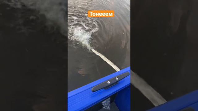 Всё приехали)) тонем… смотреть онлайн