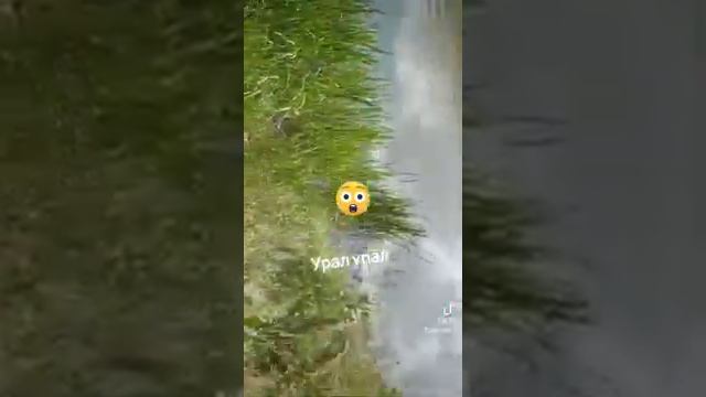 ШОК РЕКА УРАЛ УПАЛ ЧТО ПРОИСХОДИТ С РЕКОЙ Урал новости казахстана смотреть онлайн