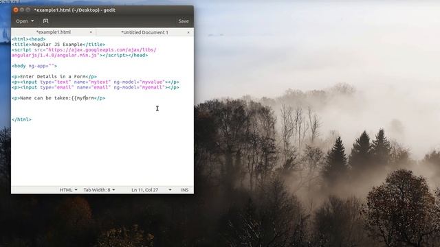 Angular JS Form Validation смотреть онлайн