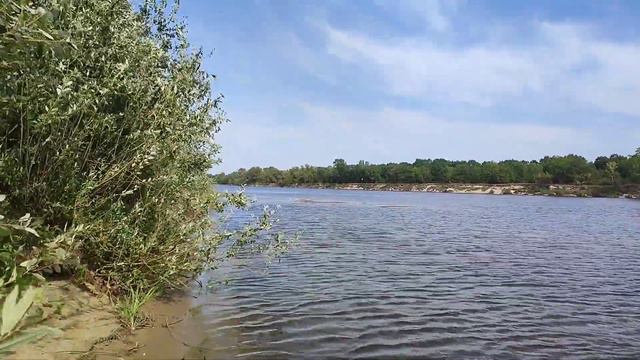 Вдоль #реки #Припяти #летом. ч.1 смотреть онлайн