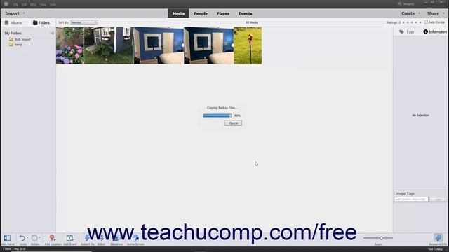 Learn How to Back Up and Restore a Catalog in Adobe Photoshop Elements 2022: A Training Tutorial смотреть онлайн