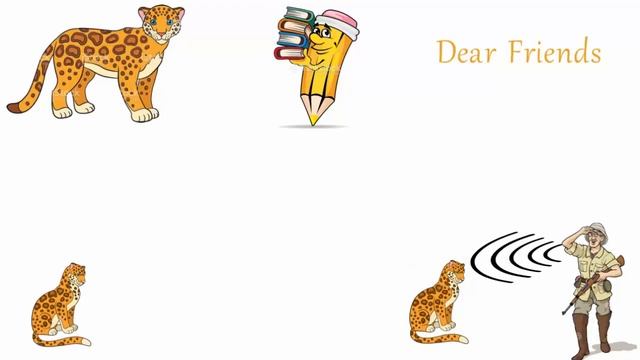 Interesting Facts About Jaguars | Jaguar  Facts | Jaguar Animal | Jaguar Habitat | Hidden Secrets