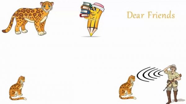 Interesting Facts About Jaguars | Jaguar  Facts | Jaguar Animal | Jaguar Habitat | Hidden Secrets