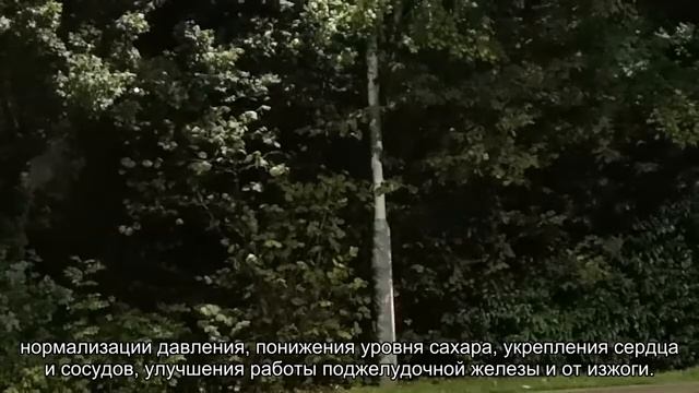 Чем заменить любимую картошку: в Роспотребнадзоре назвали три альтернативных варианта смотреть онлайн