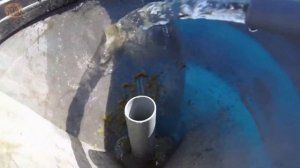 5 лучших сетчатых фильтров для пруда | ПРУД ПРУДИ