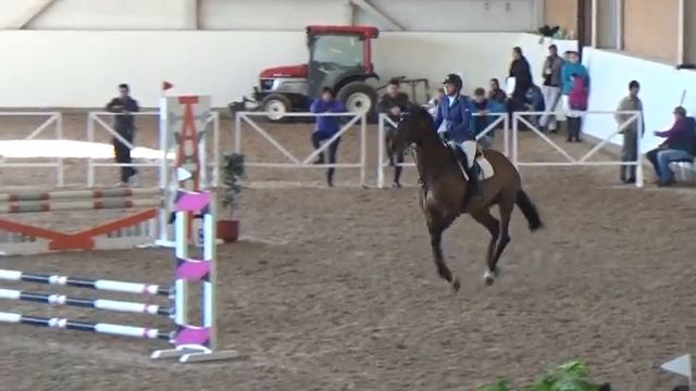 Маша и Майне Либе. Учимся стартовать смотреть онлайн