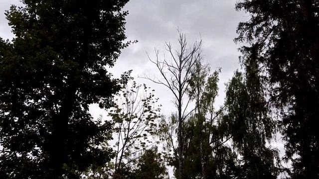 Обнинск 25.08.2021 смотреть онлайн