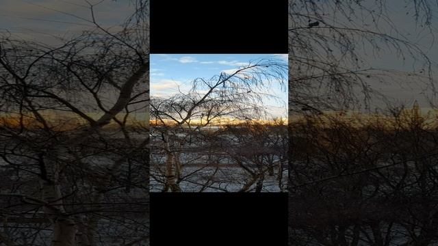 Братеево из окна. 2020.12.03 смотреть онлайн