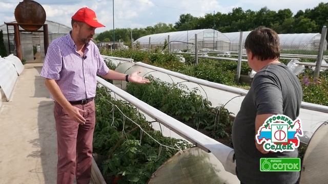 ВЫРАЩИВАНИЕ ТОМАТОВ В ГРЯДАХ-КОРОБАХ смотреть онлайн
