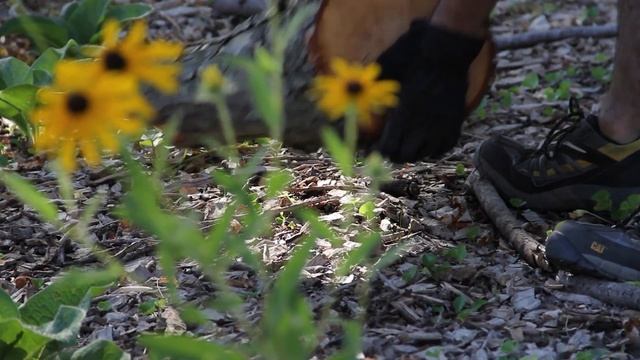 Building HUGELKULTUR Garden Beds | Shallow Dig Method смотреть онлайн