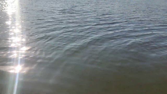 Ловля судака смотреть онлайн