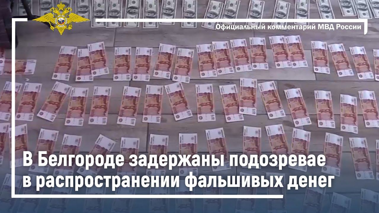 Белгородские полицейские задержали подозреваемых в распространении фальшивых денег смотреть онлайн