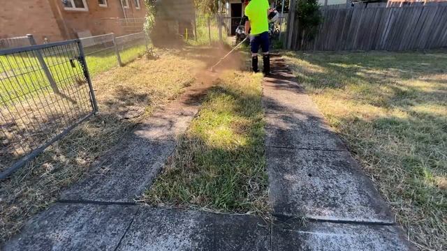 She's Been Here 30 Years! Watch me Detail her lawn for Free Mow Fridays! смотреть онлайн
