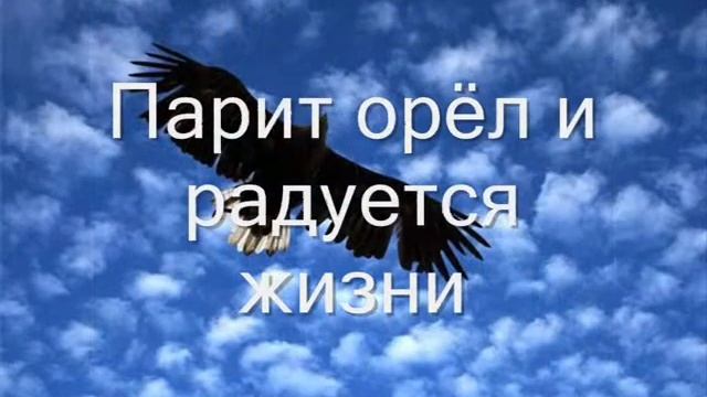 Орёл. Автор: Понкратов Юрий Иванович смотреть онлайн