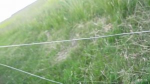 Электропастух  - Установка, подключение...