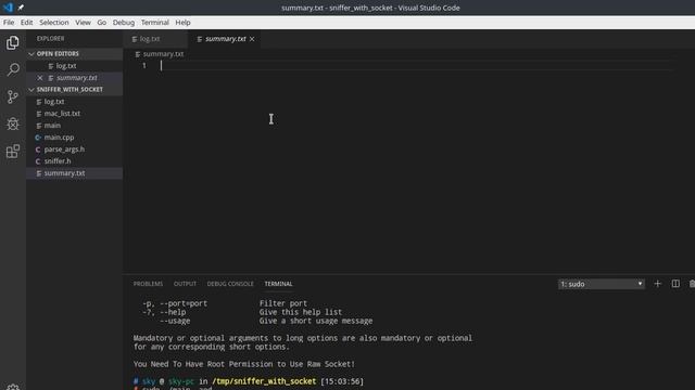 sniffer w/ raw socket - demo смотреть онлайн