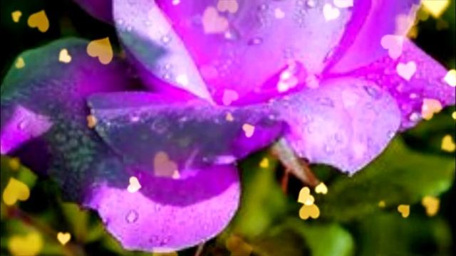 С Днем Рожденья мой милый друг! Я желаю тебе любви, я желаю тебе богатства! Приятный женский голос. смотреть онлайн