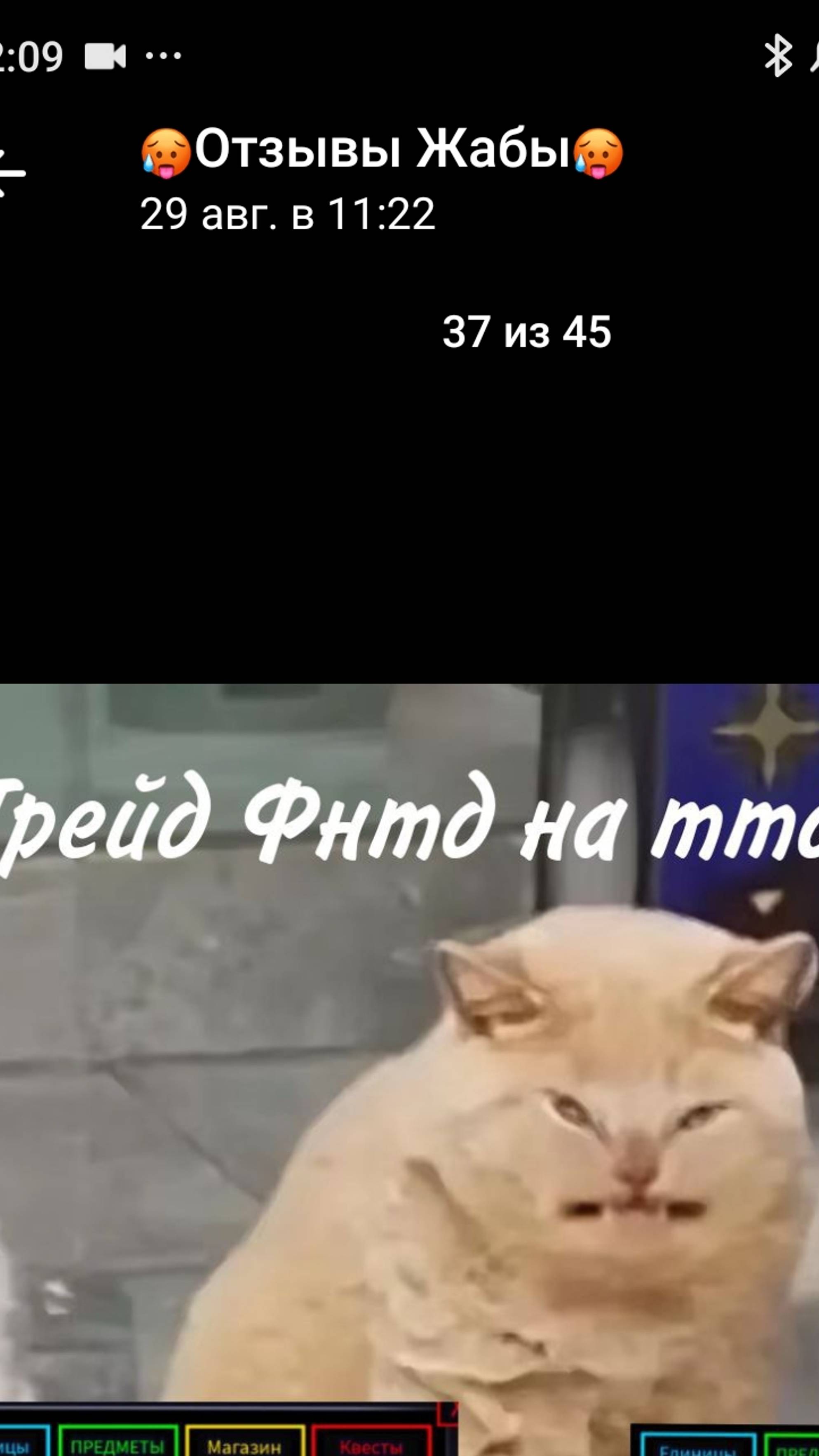 PVZ  . Я играю и в него