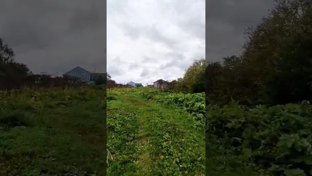 В продаже участок, Гатчинский район, посёлок Новый Свет смотреть онлайн