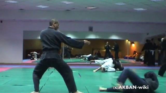 Hosoku no kata - Koto ryu смотреть онлайн