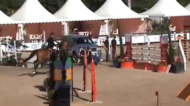 Talmund des Bergeries - Cassio Rivetti (6y - Bourg-en-Bresse) смотреть онлайн
