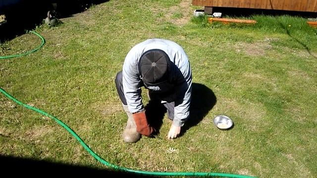 life hack избавляемся от одуванчиков при помощи порошковой стали /CPM steel смотреть онлайн