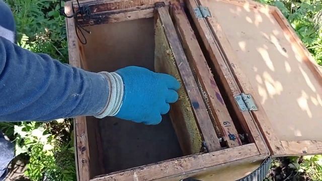 пчелы,выкачивание меда ? смотреть онлайн